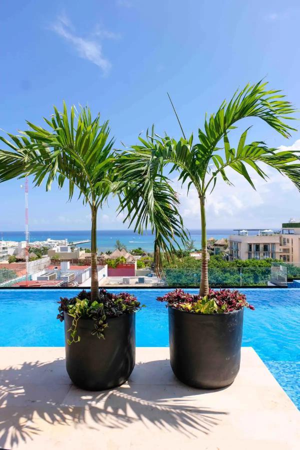 Stayon5A.Av.Penthouse With Privatepool Freeparking Playa del Carmen Eksteriør billede